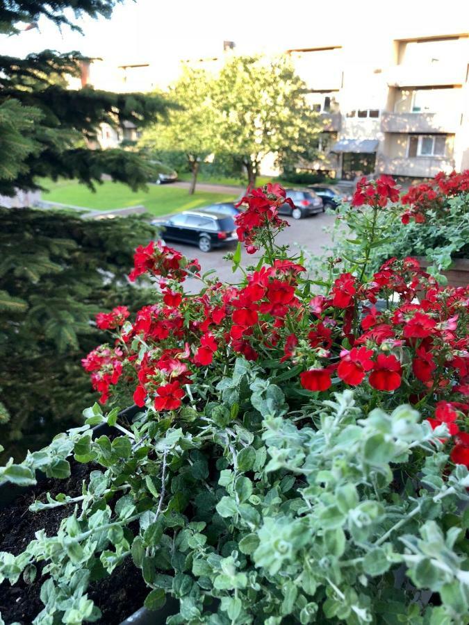 Wind Rose Apartment Kuressaare Bagian luar foto